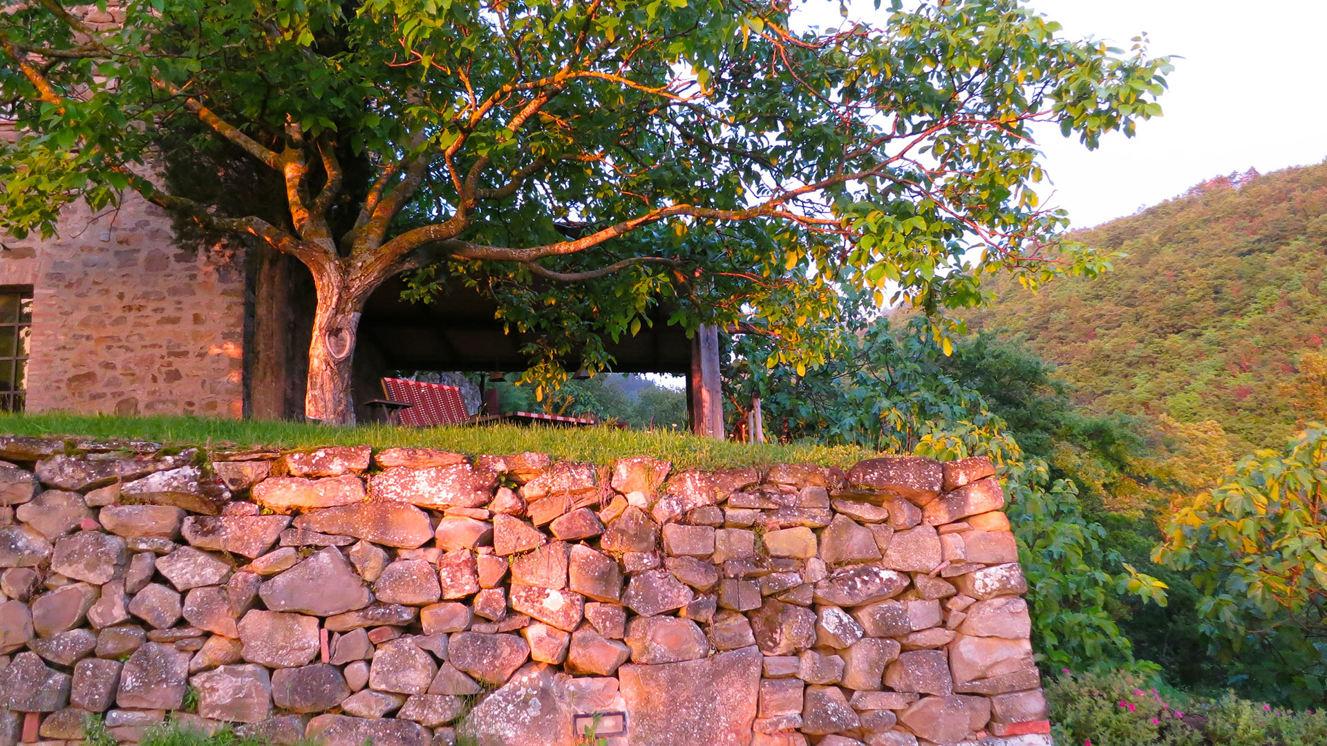 Podere Lazzo - Image 8