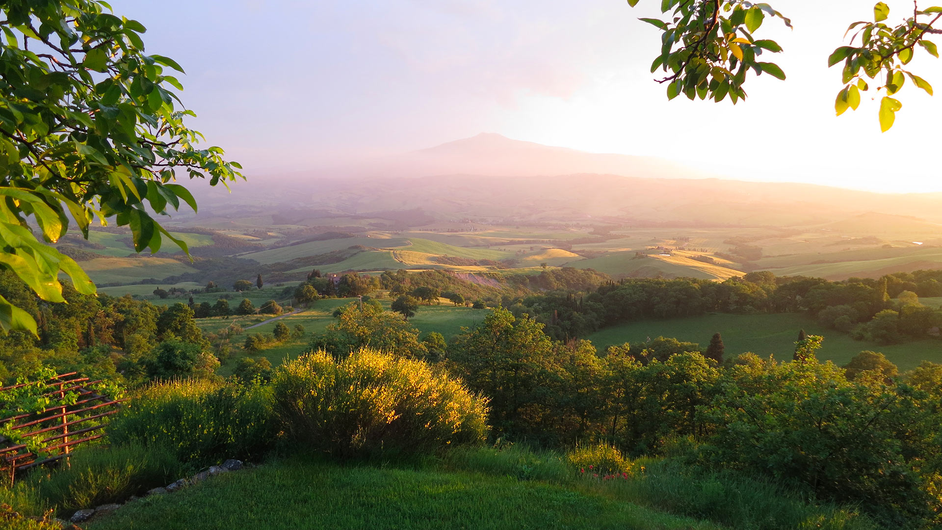 Podere Lazzo - Image 4