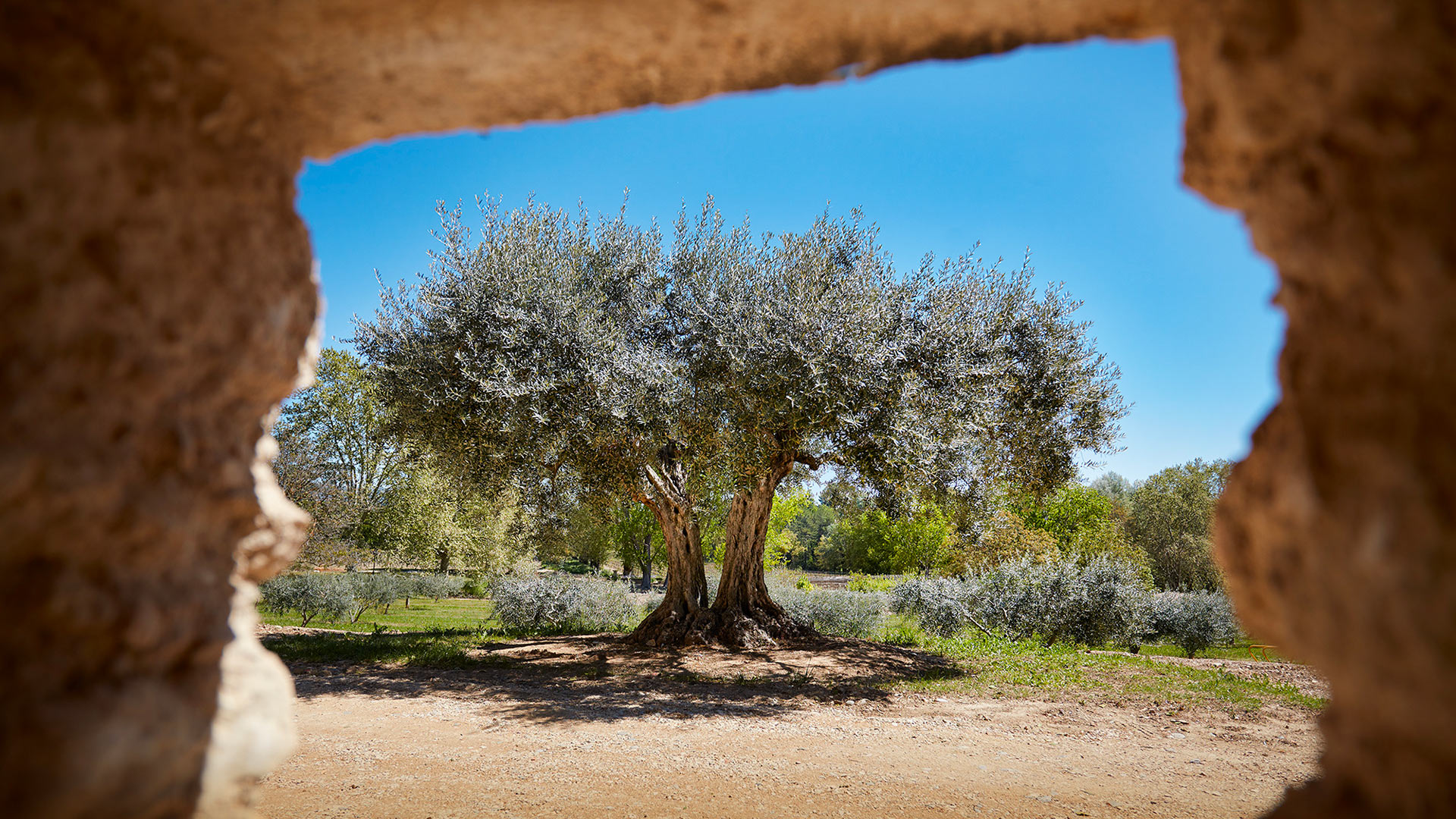 La Bergerie de Lusannes - Image 34