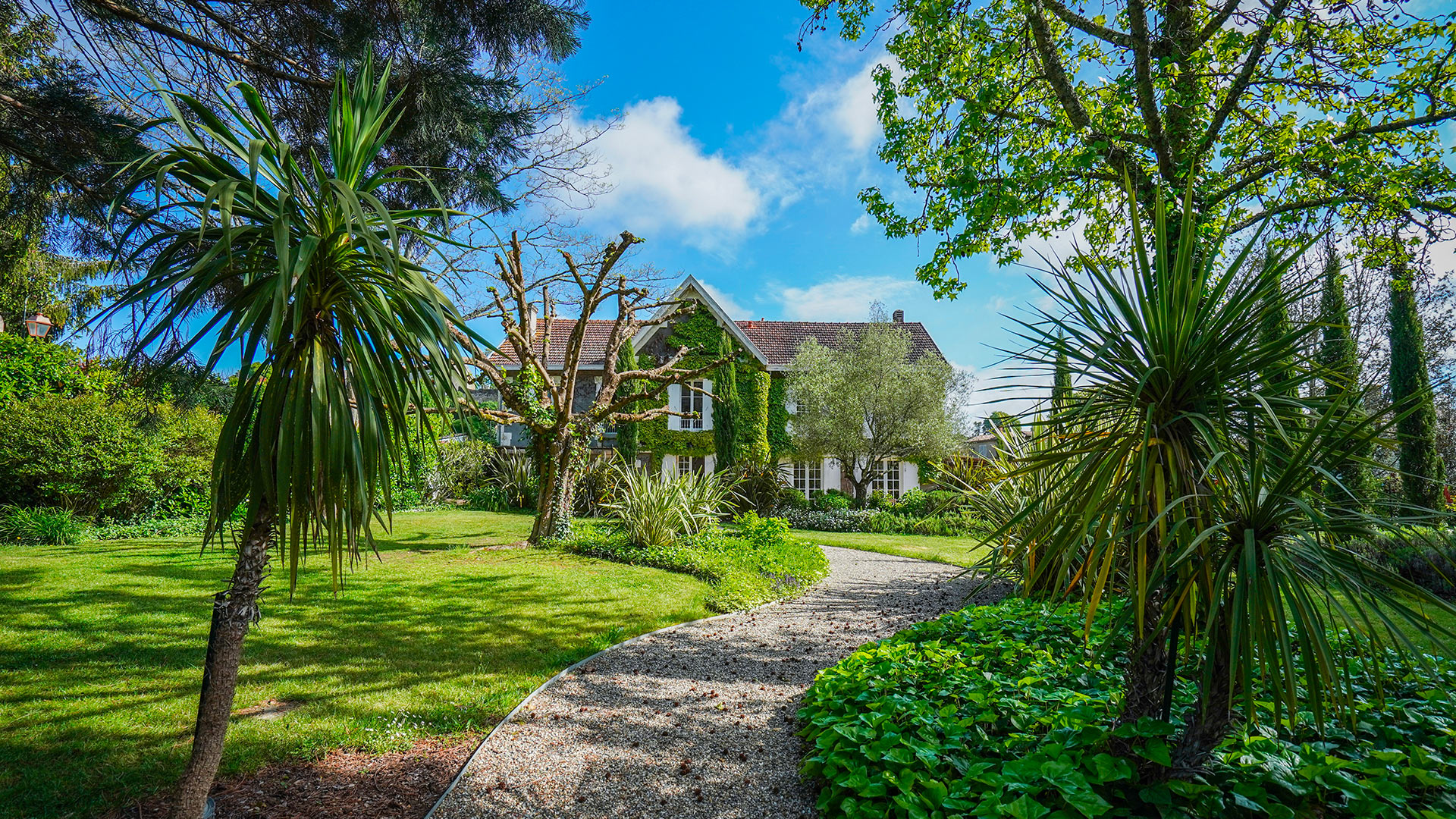 Villa dans les vignes - Image 10