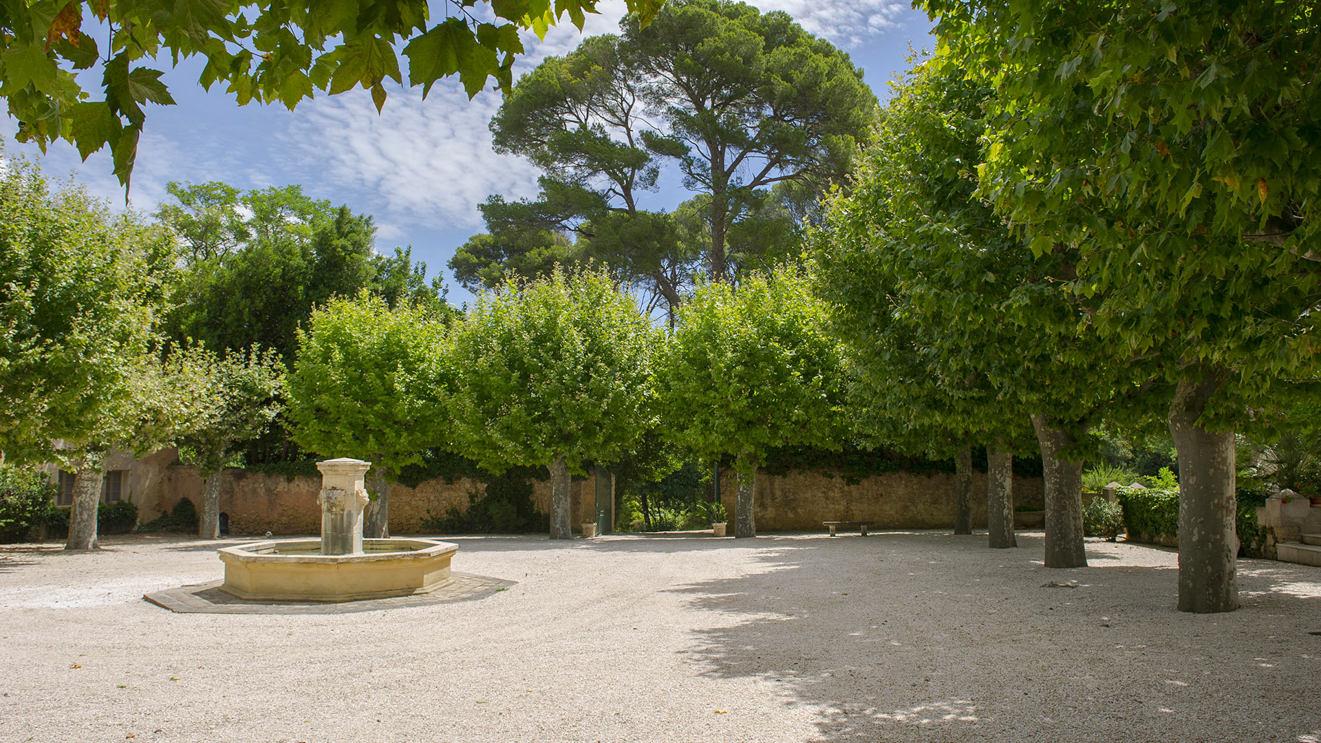 Saint Martin - Image 17