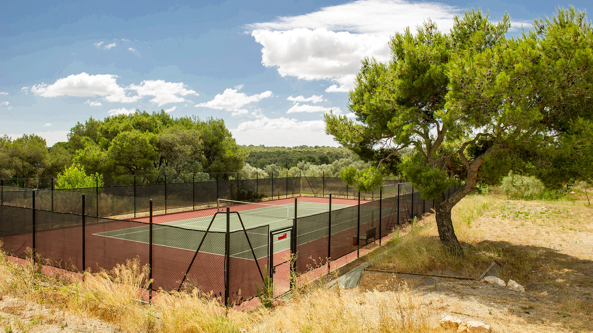 Saint Martin - Image 13