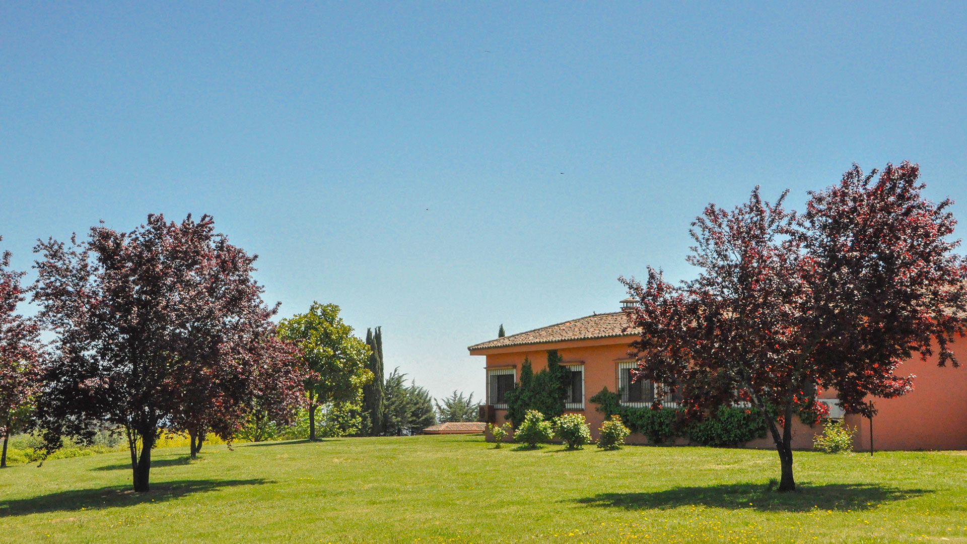 Villa Valmarisco — Caceres