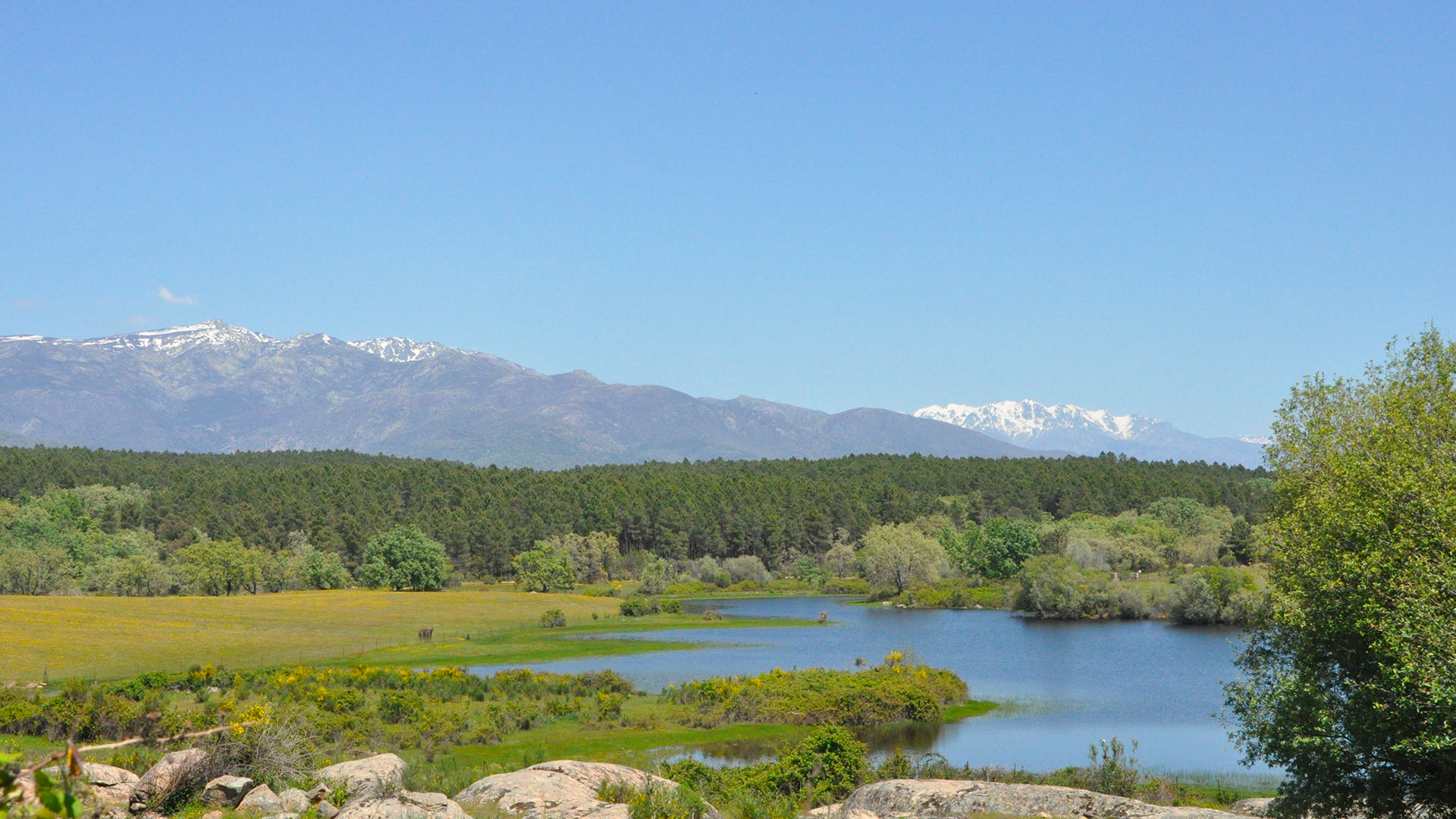Villa Valmarisco — Caceres