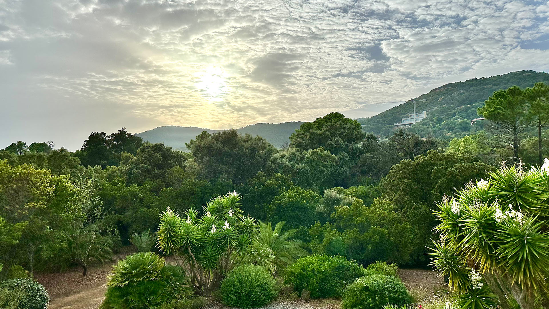Villa Fleur - Image 32
