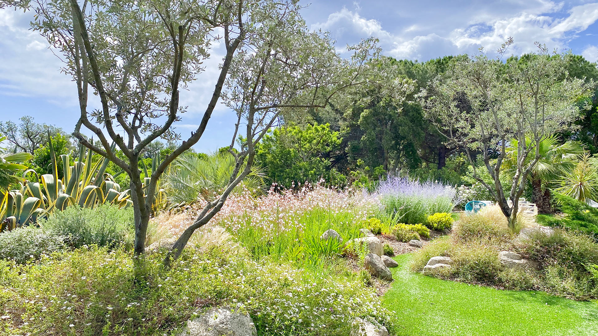 Villa Fleur - Image 33