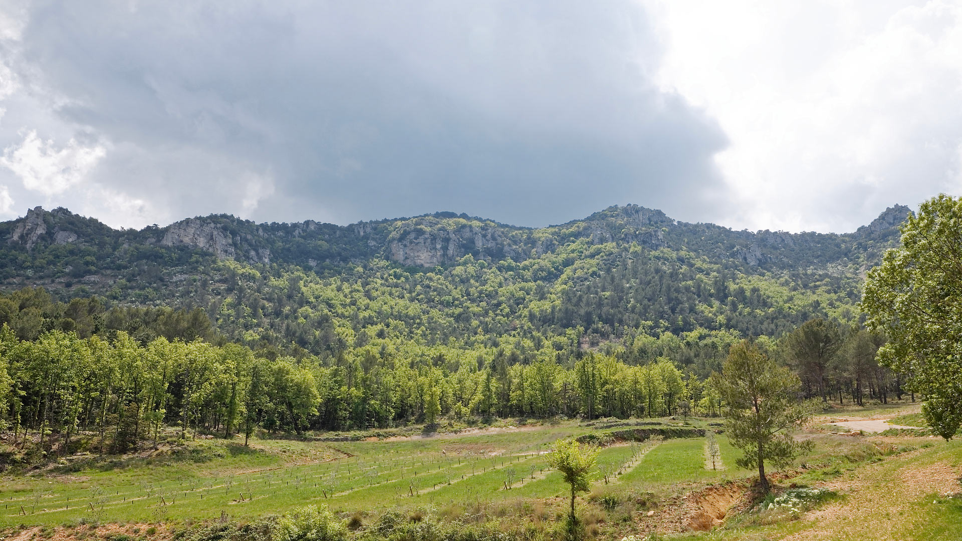 Hameau du Vallon - Image 63