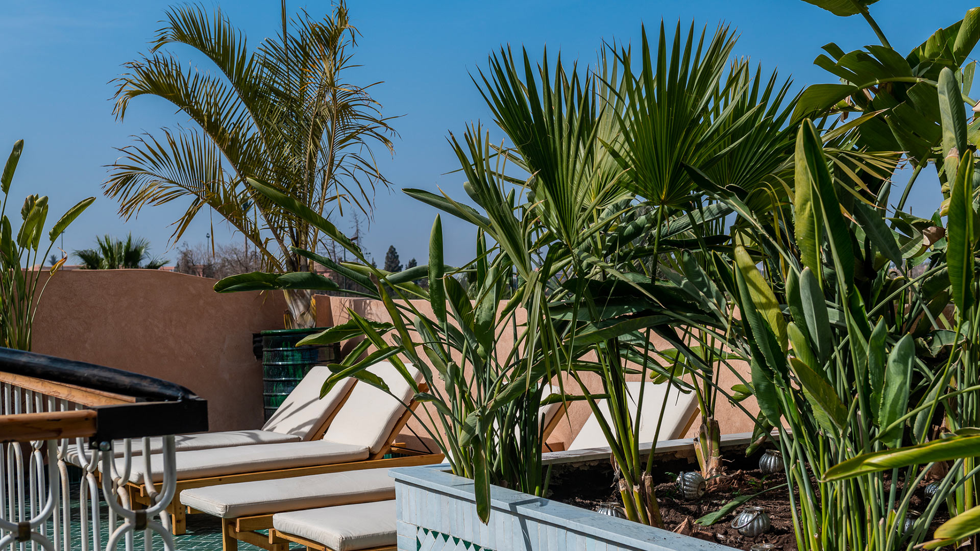 Riad Iliane - Image 13