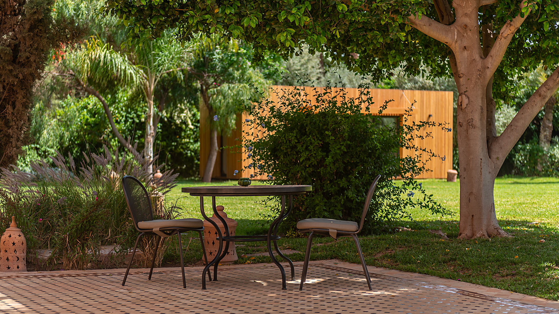 Dar Rosebud - Image 52