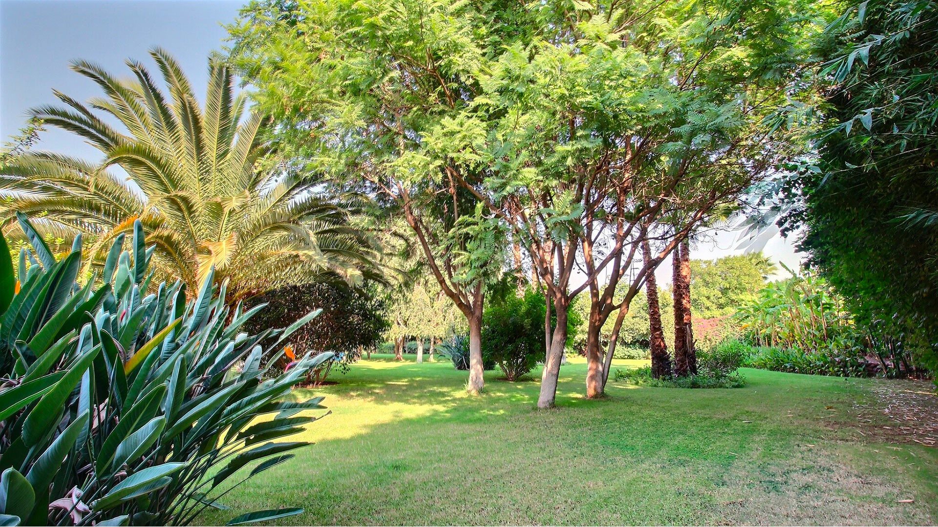 Villa Ciste - Image 11