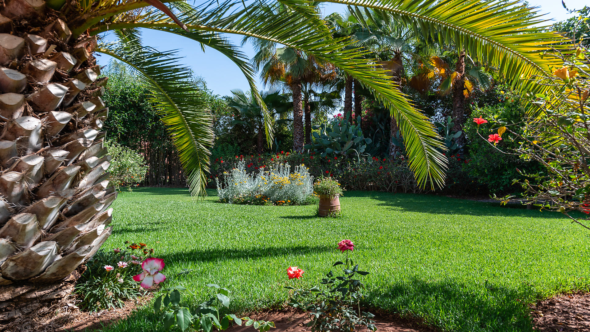 Villa Ciste - Image 7