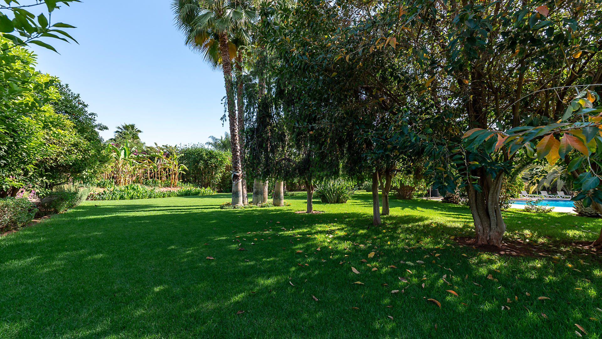 Villa Ciste - Image 9