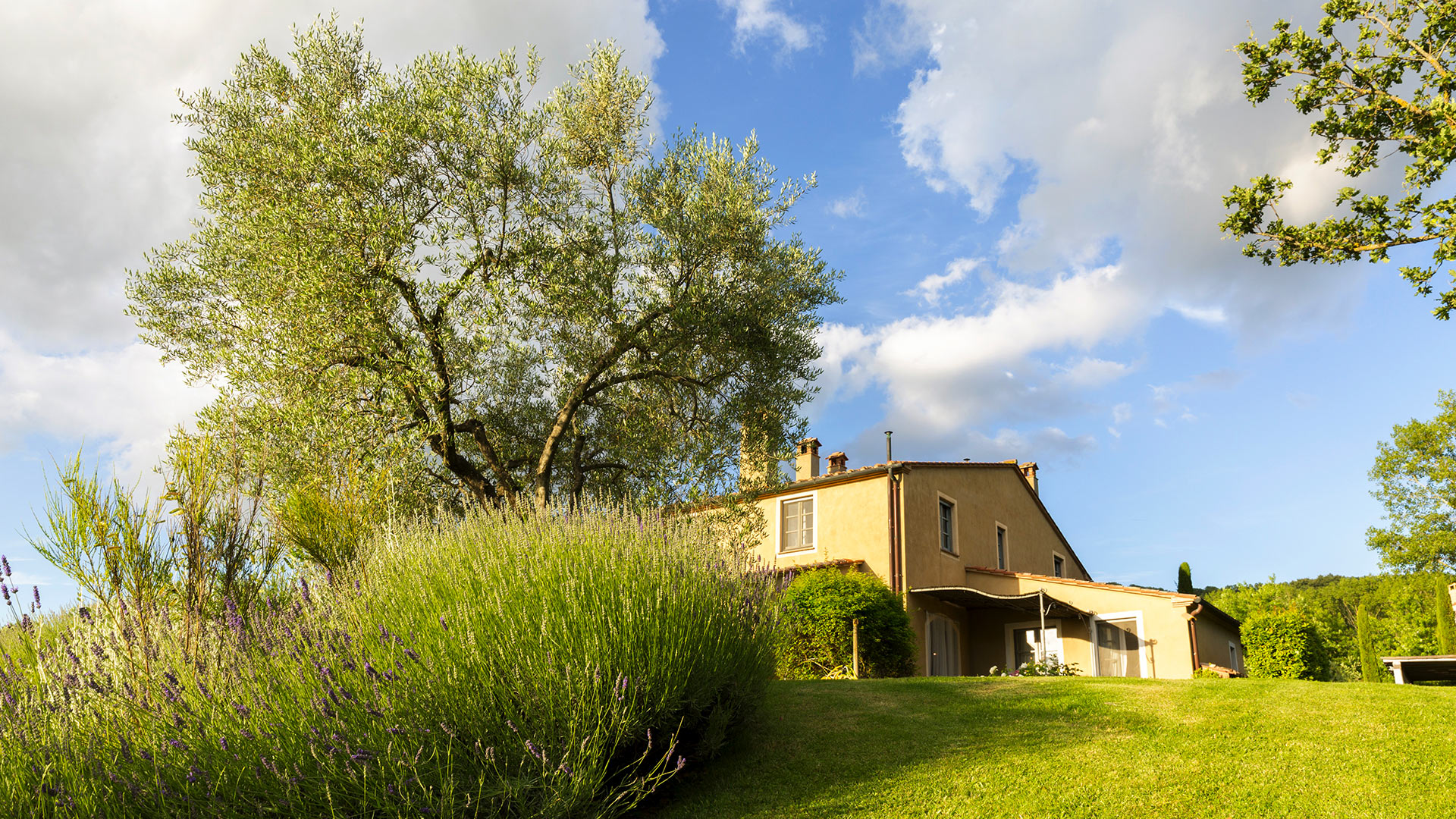 Villa Amoreti - Image 2