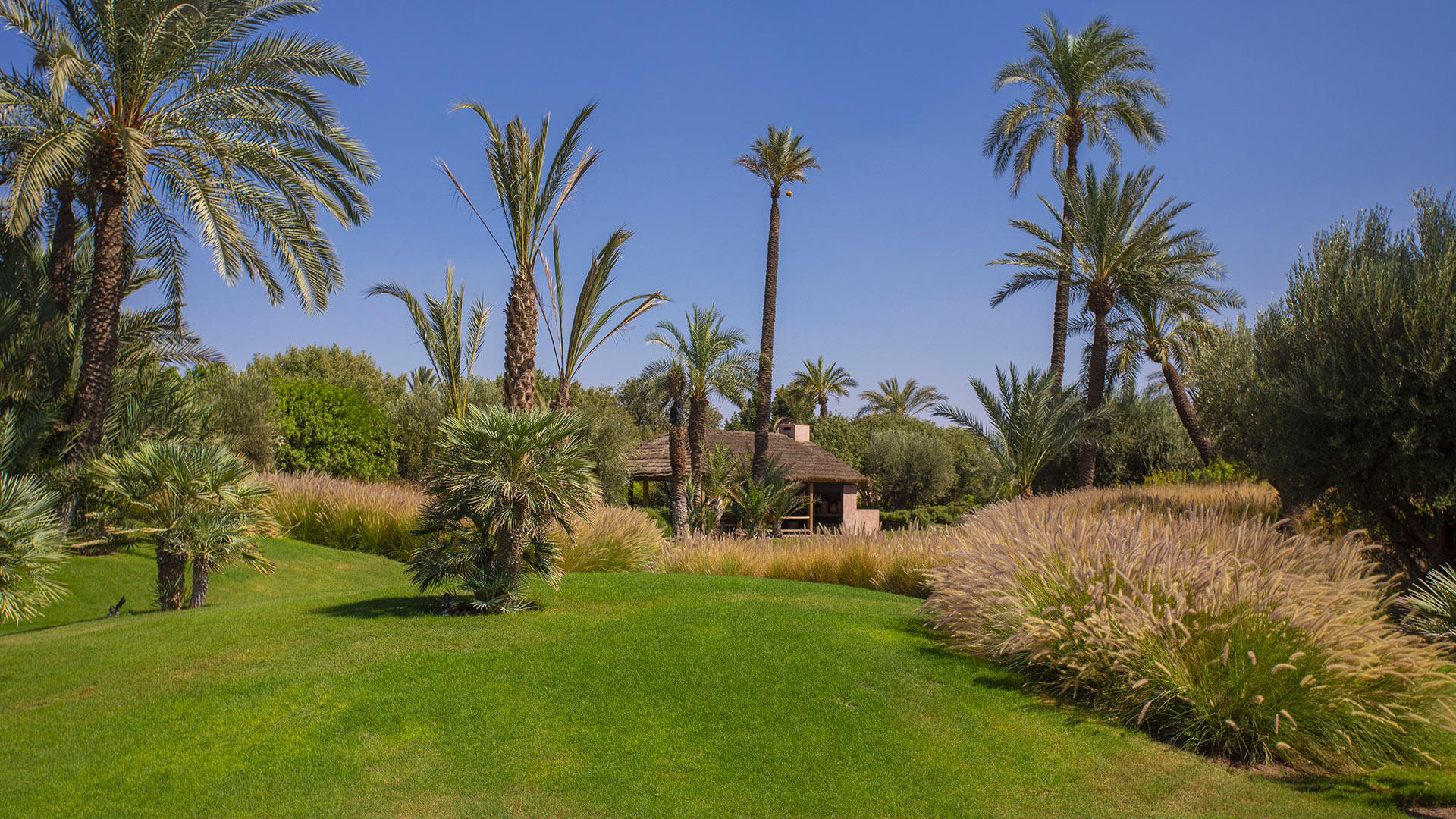 Dar Cepheus — Marrakech