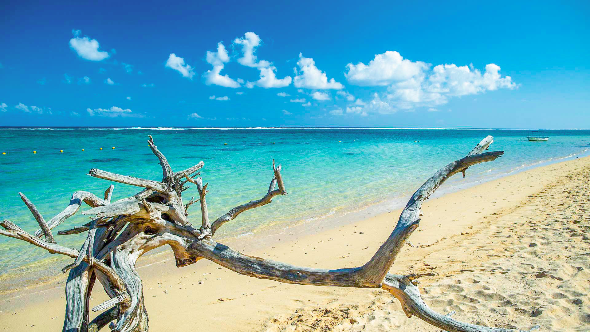 Villa Villa Etini, Rental in Mauritius South West