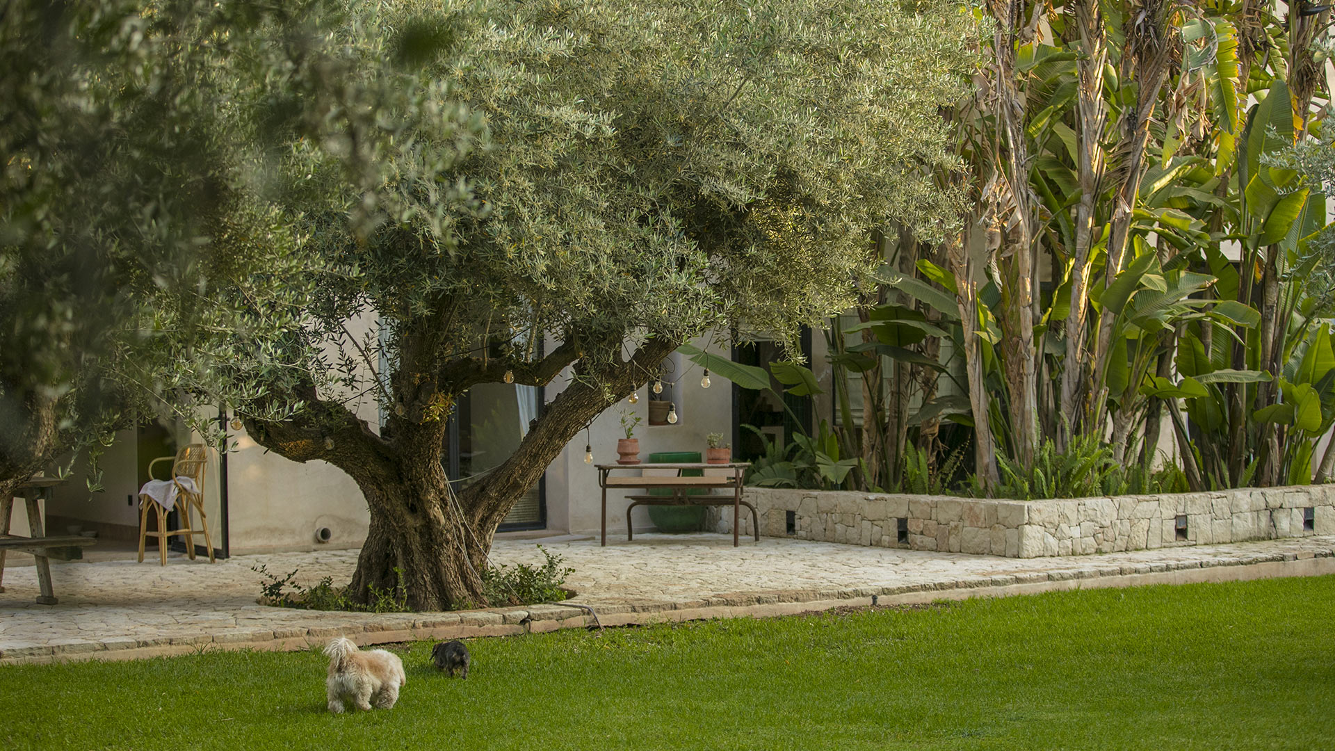 Villa Primerose — Marrakech