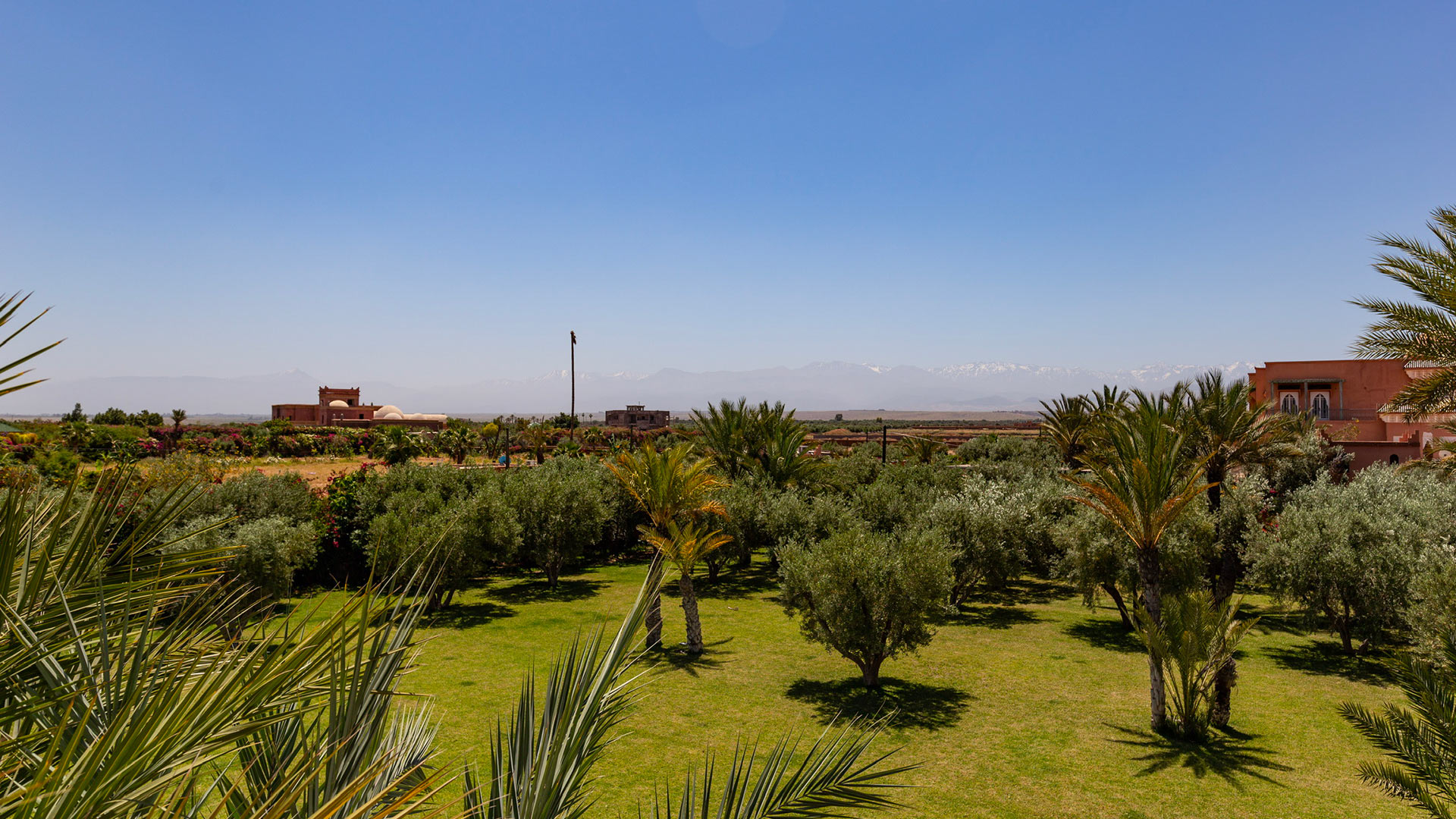 Villa Des Oliviers — Marrakech