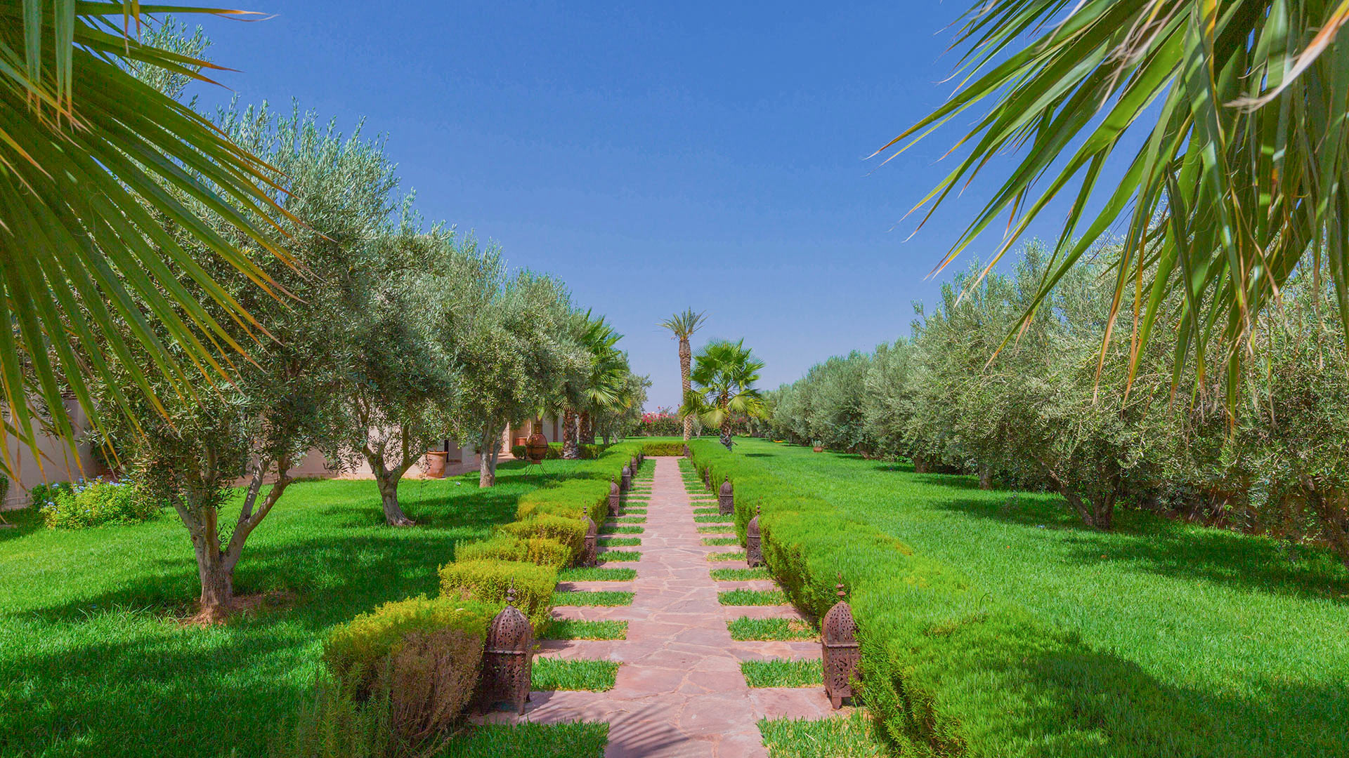 Villa Des Oliviers — Marrakech