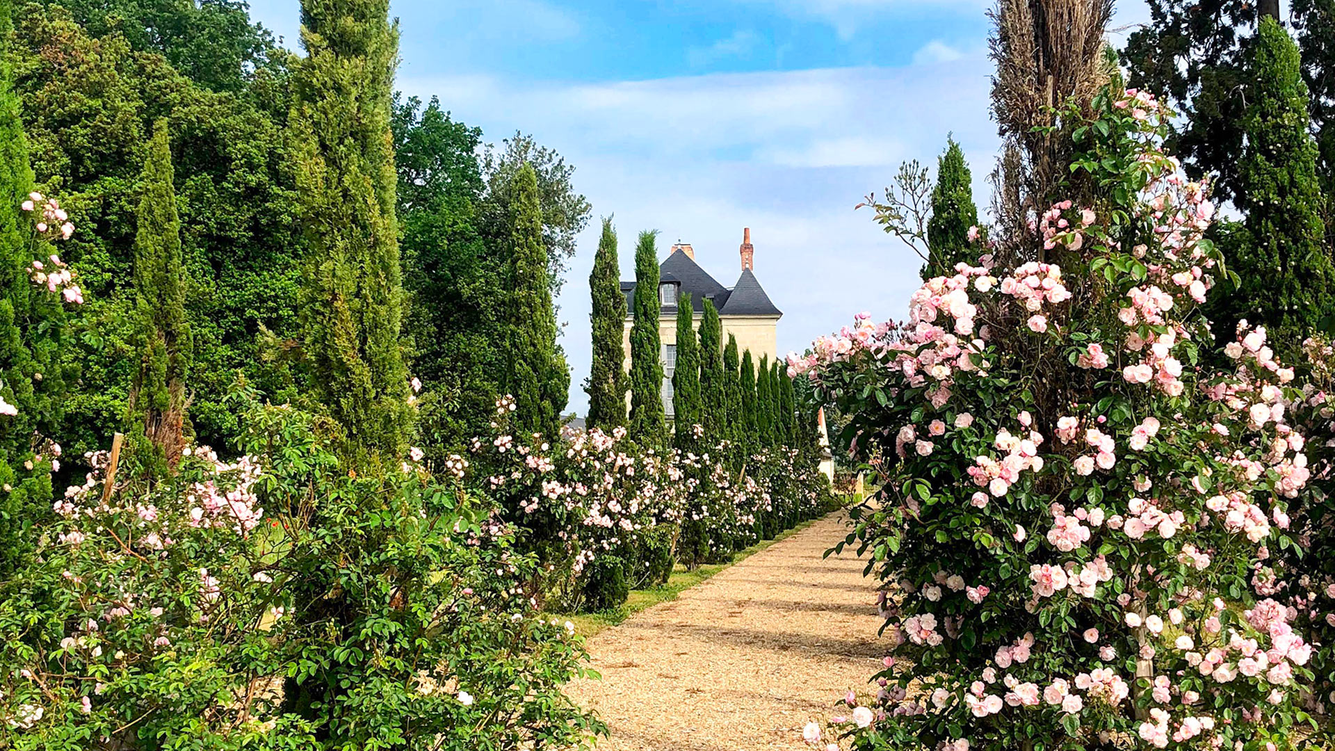 Château Coteleau - Image 2