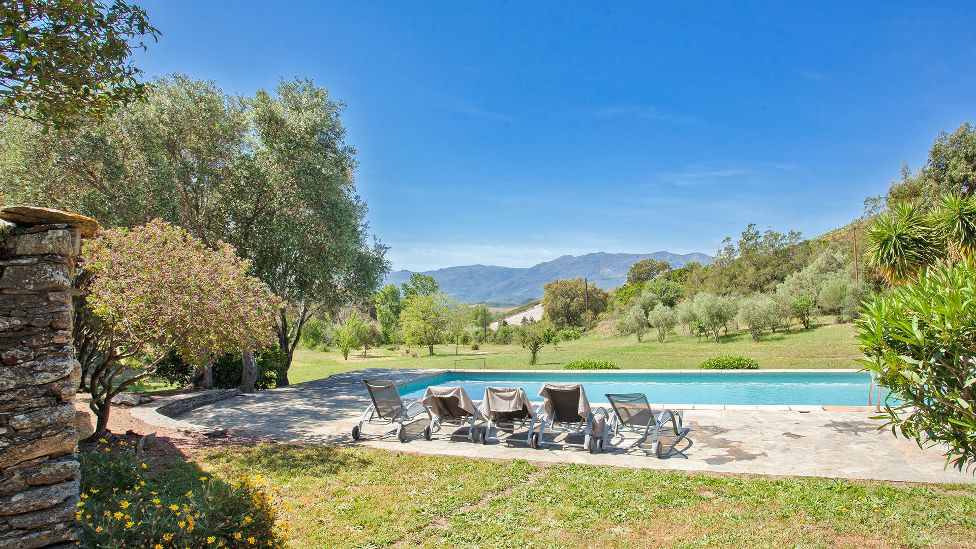 Villa Briana - Image 6