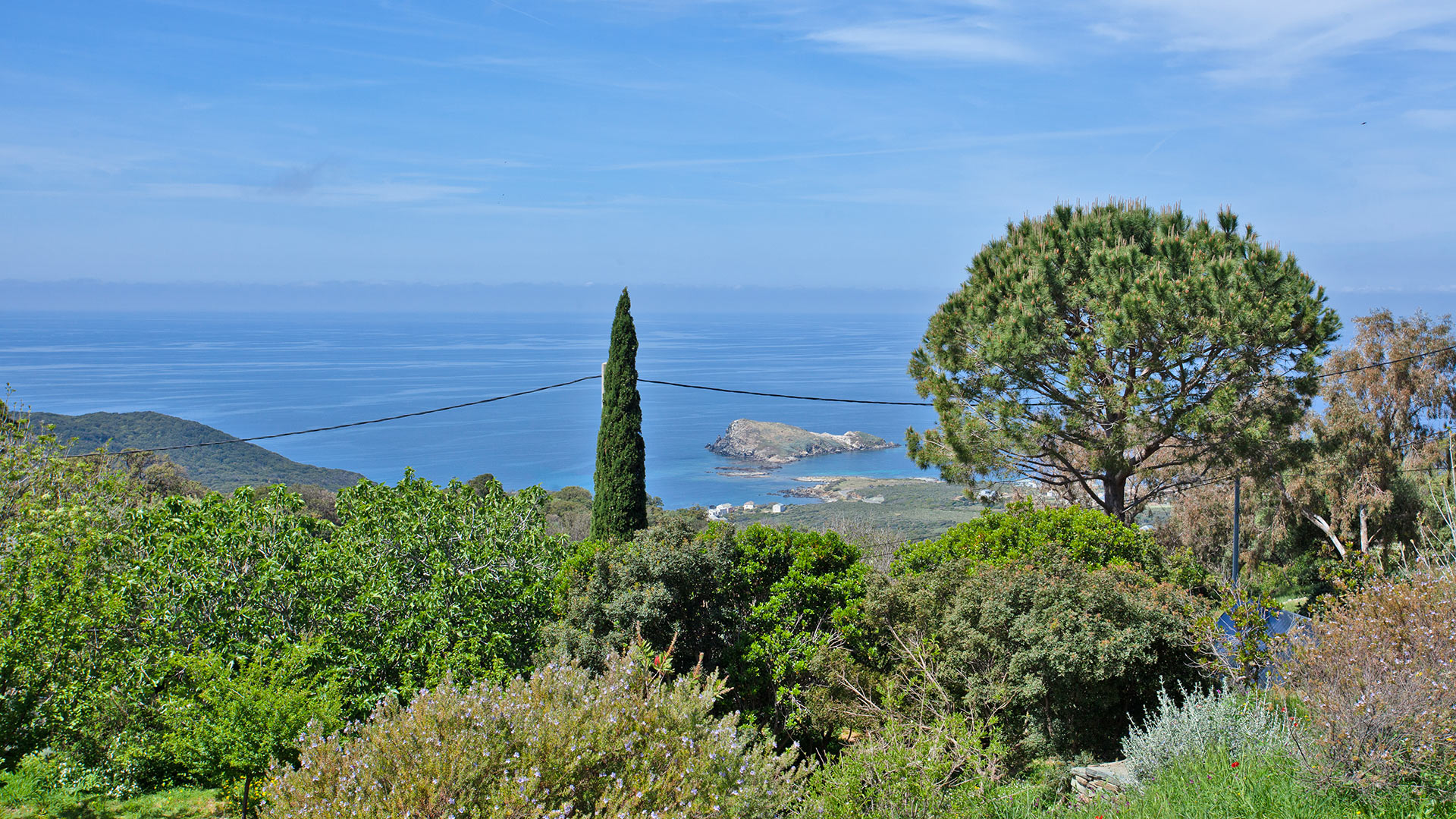 Villa Noelani - Image 29