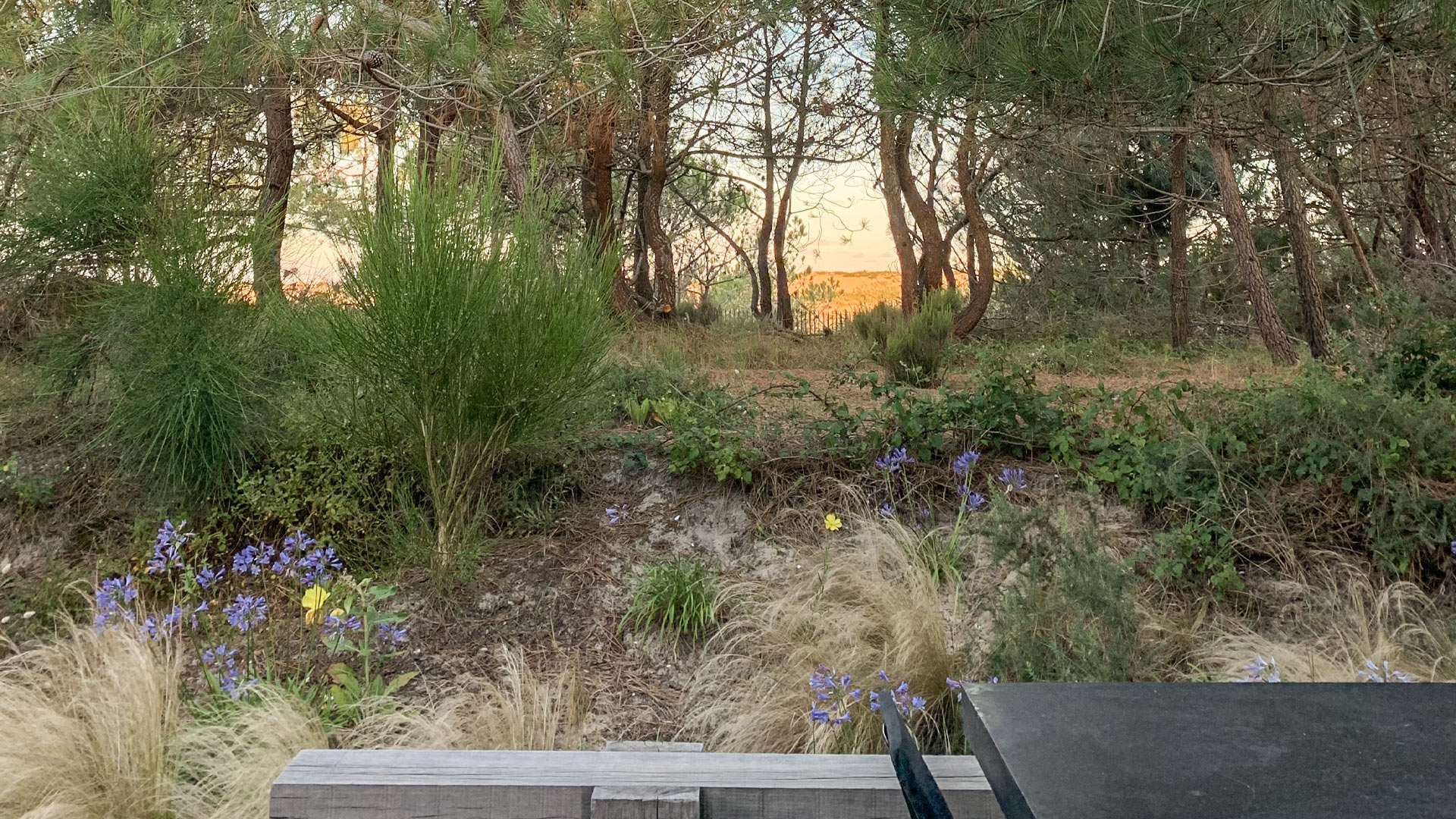 Villa Les Pins - Image 4