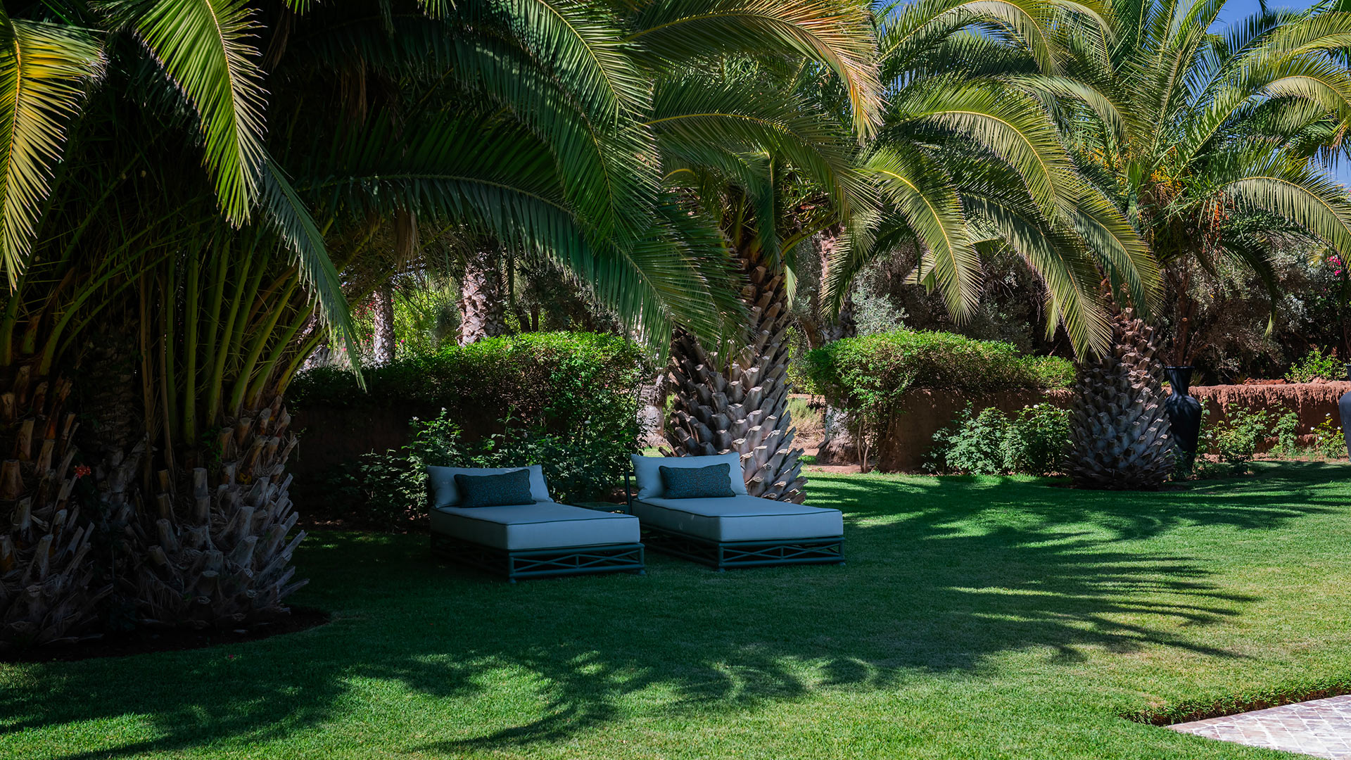 Dar Majoris - Image 4