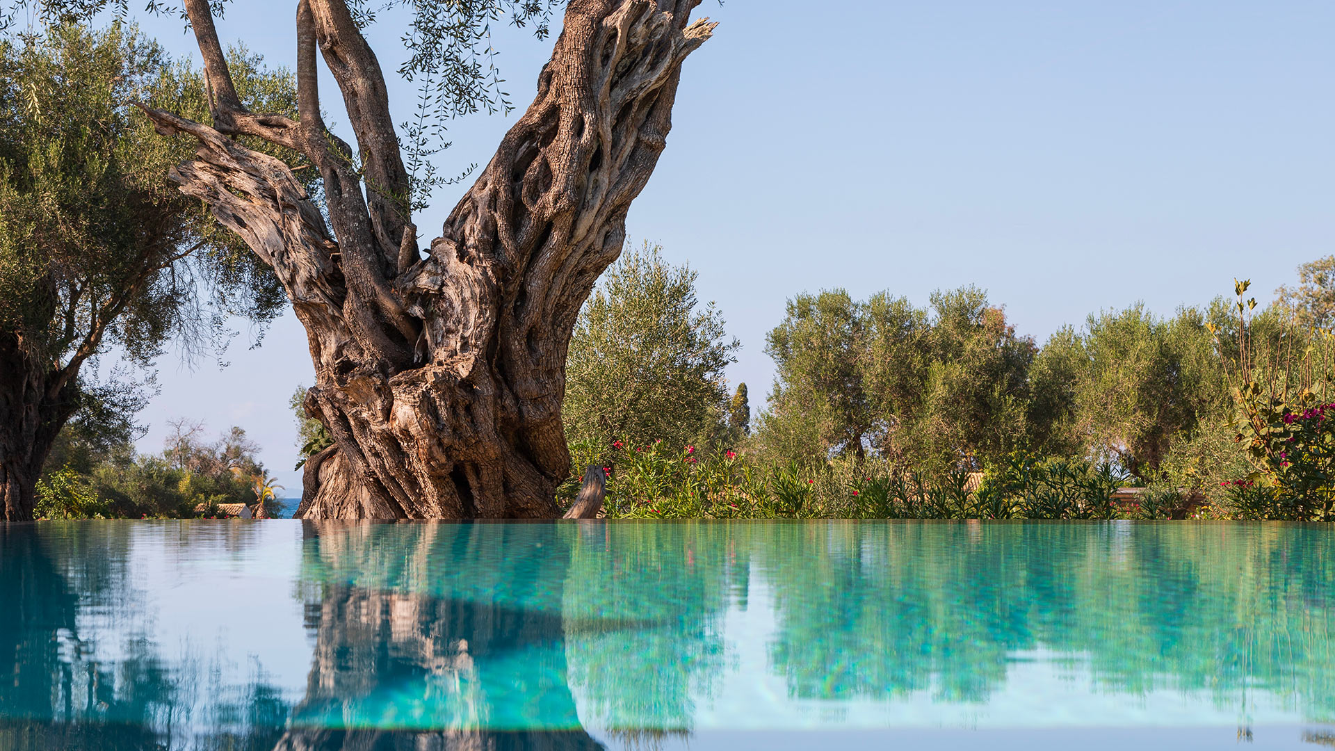 Villa Dafne - Image 2
