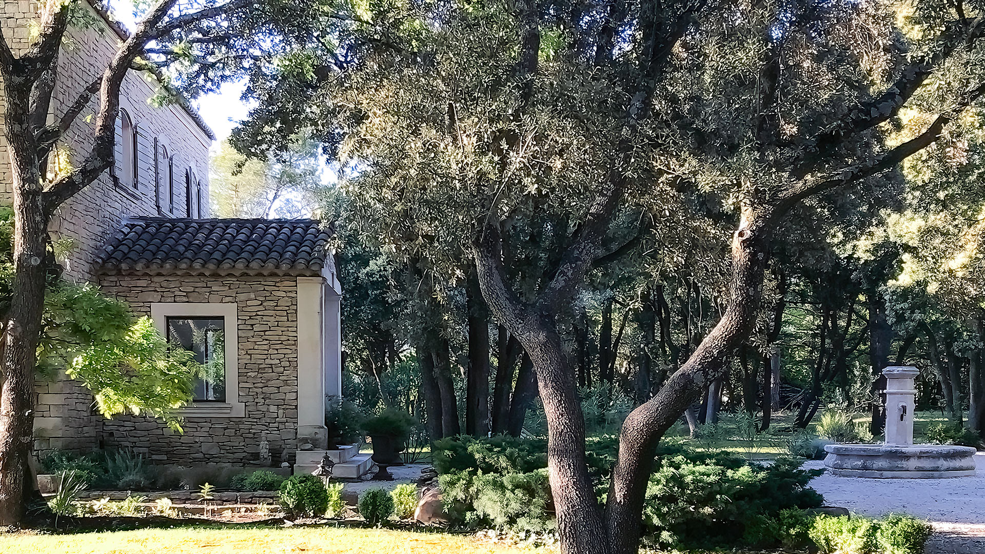 Villa Sparrow - Image 8