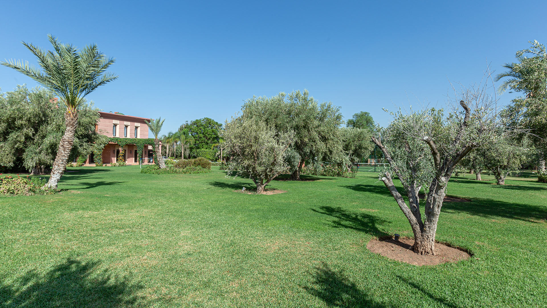 Villa Haby - Image 44