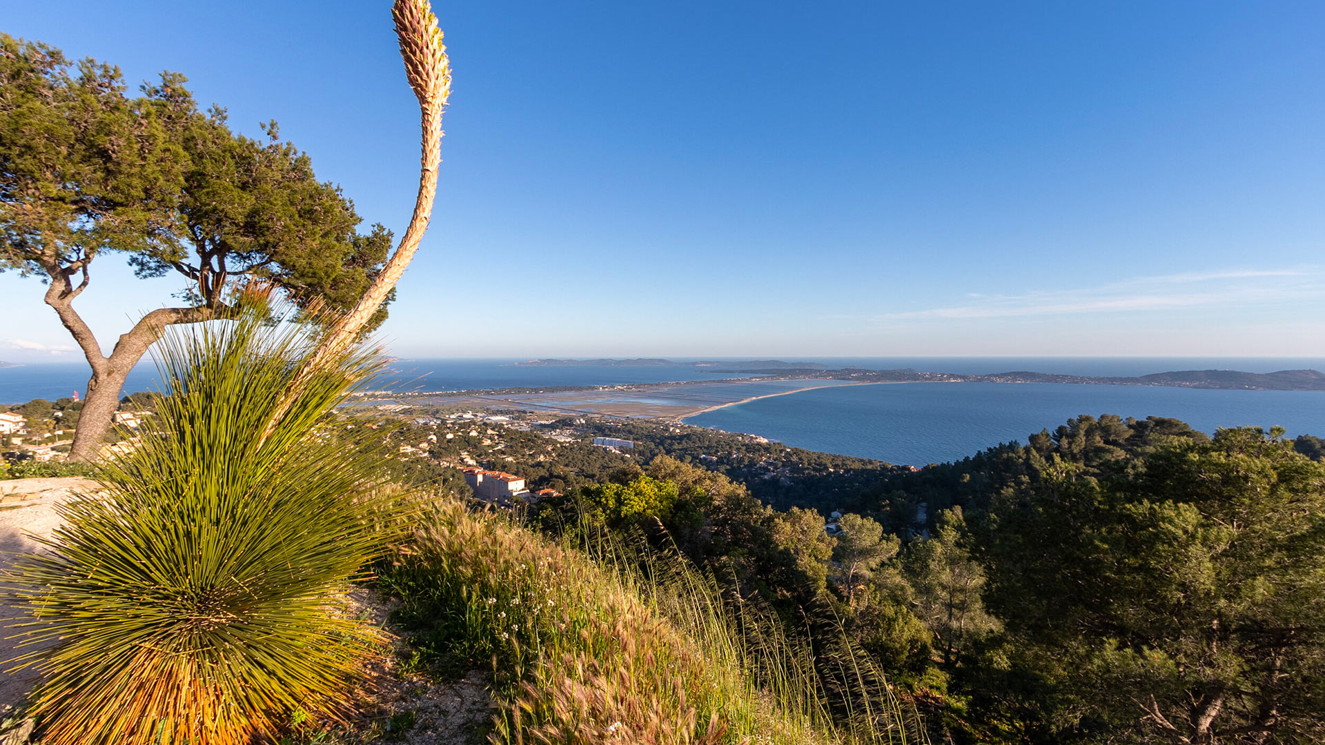Vue extérieure de la Villa Les Pins Dorés entourée de nature