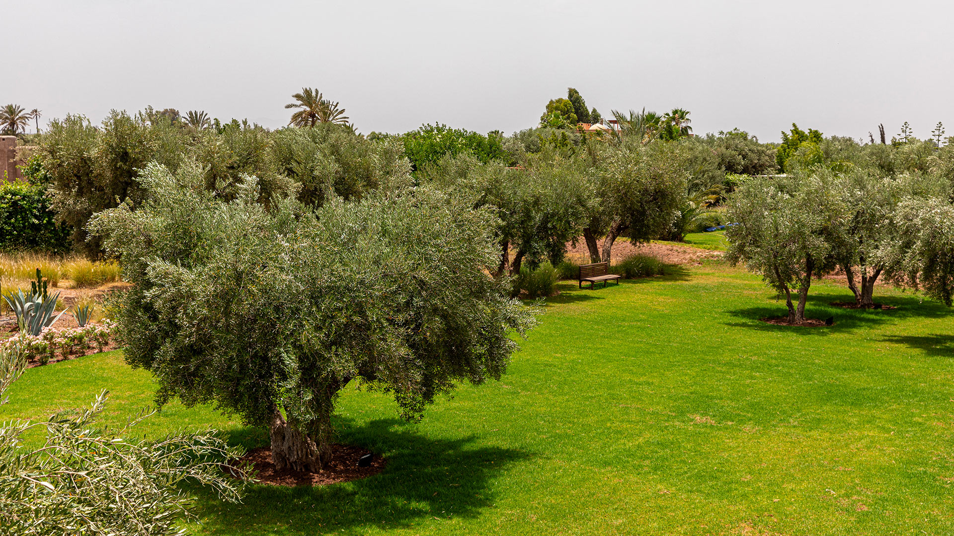 Villa Nyssa - Image 53