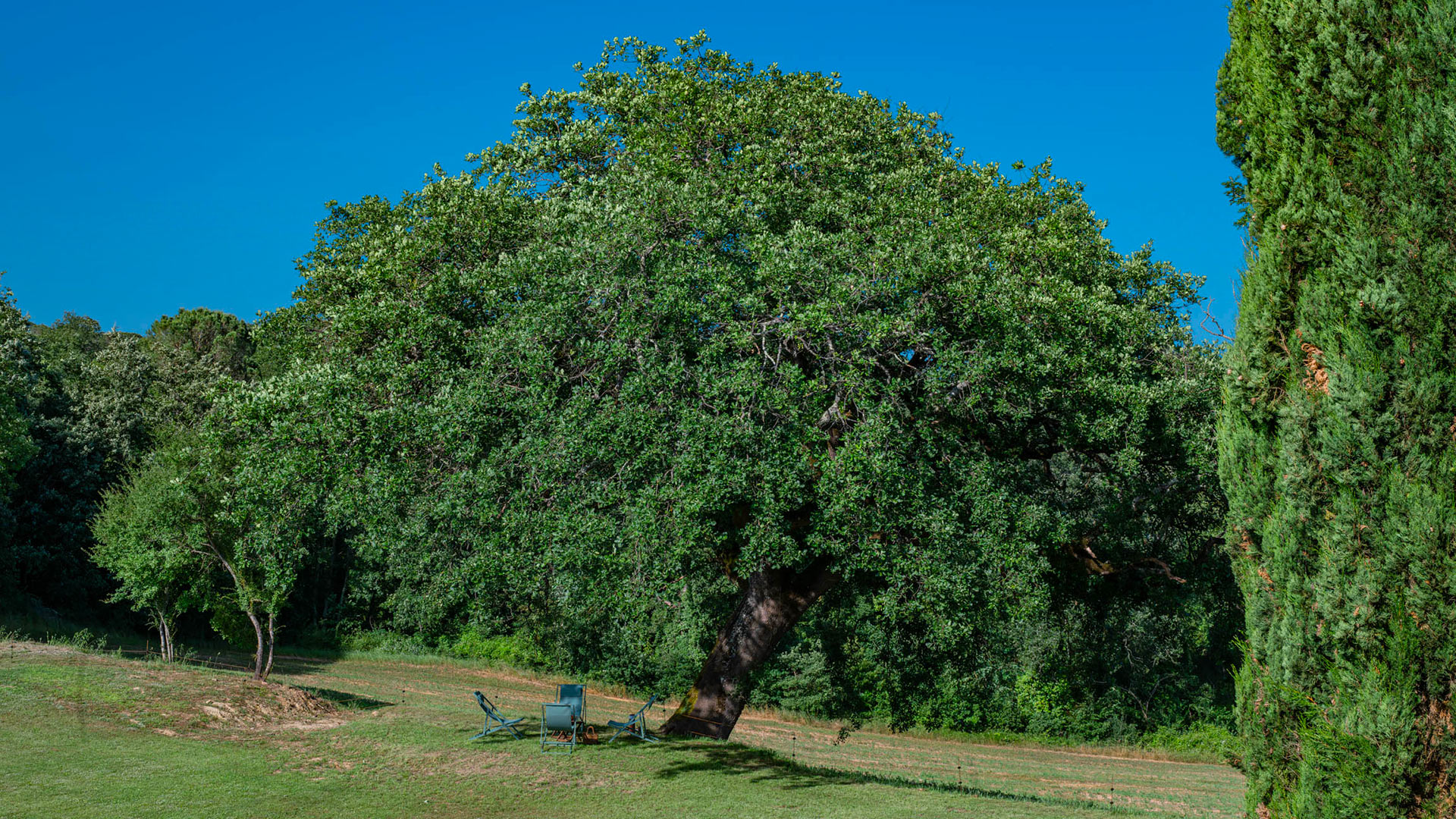 Villa Assunta - Image 11