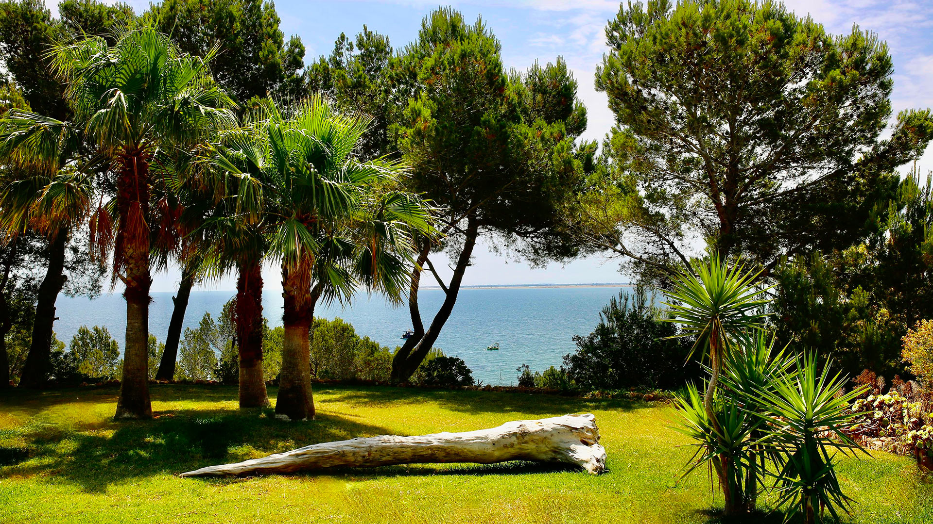 Villa Dorada — L ampolla