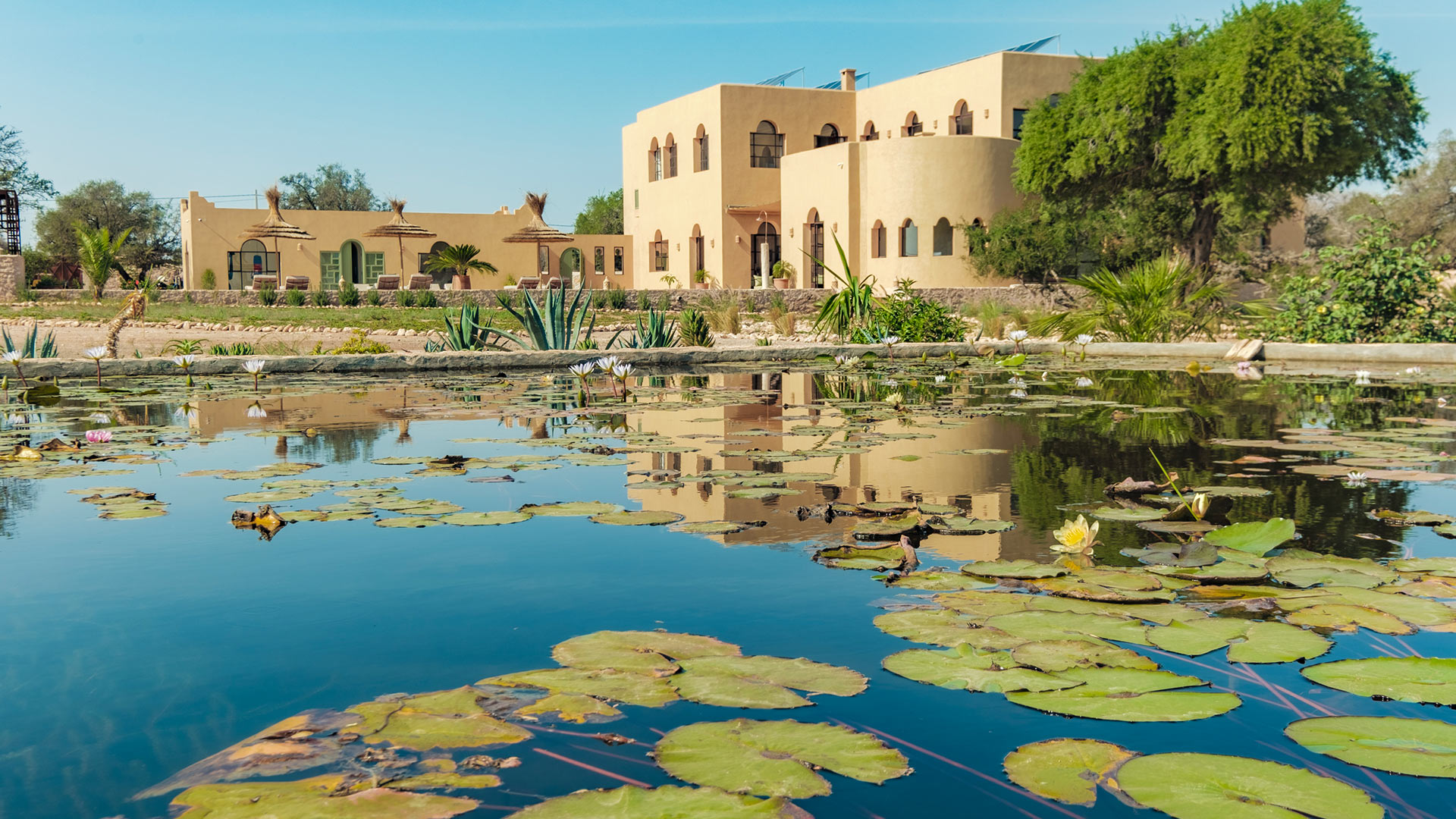Villa Sunny Baraka - Image 40