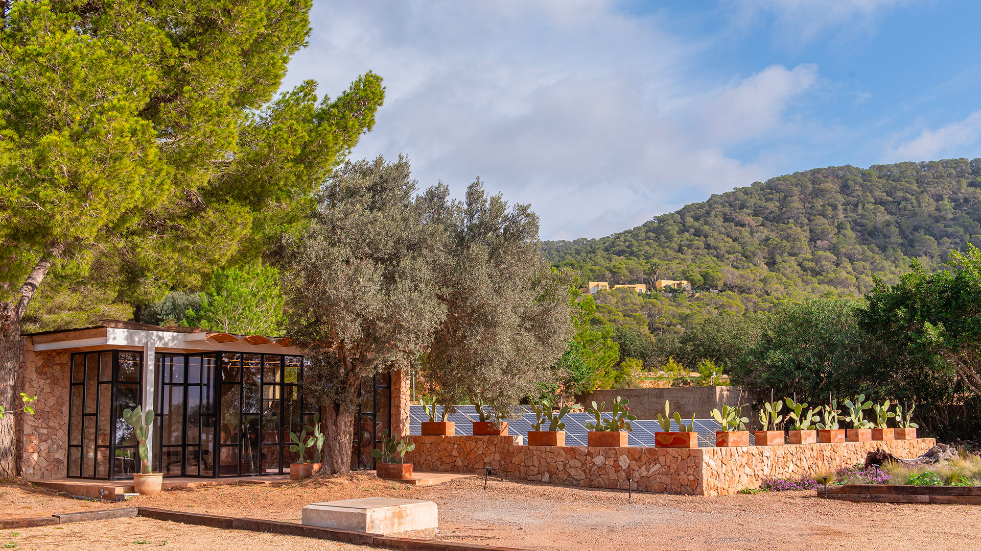 Can Olivar - Image 51