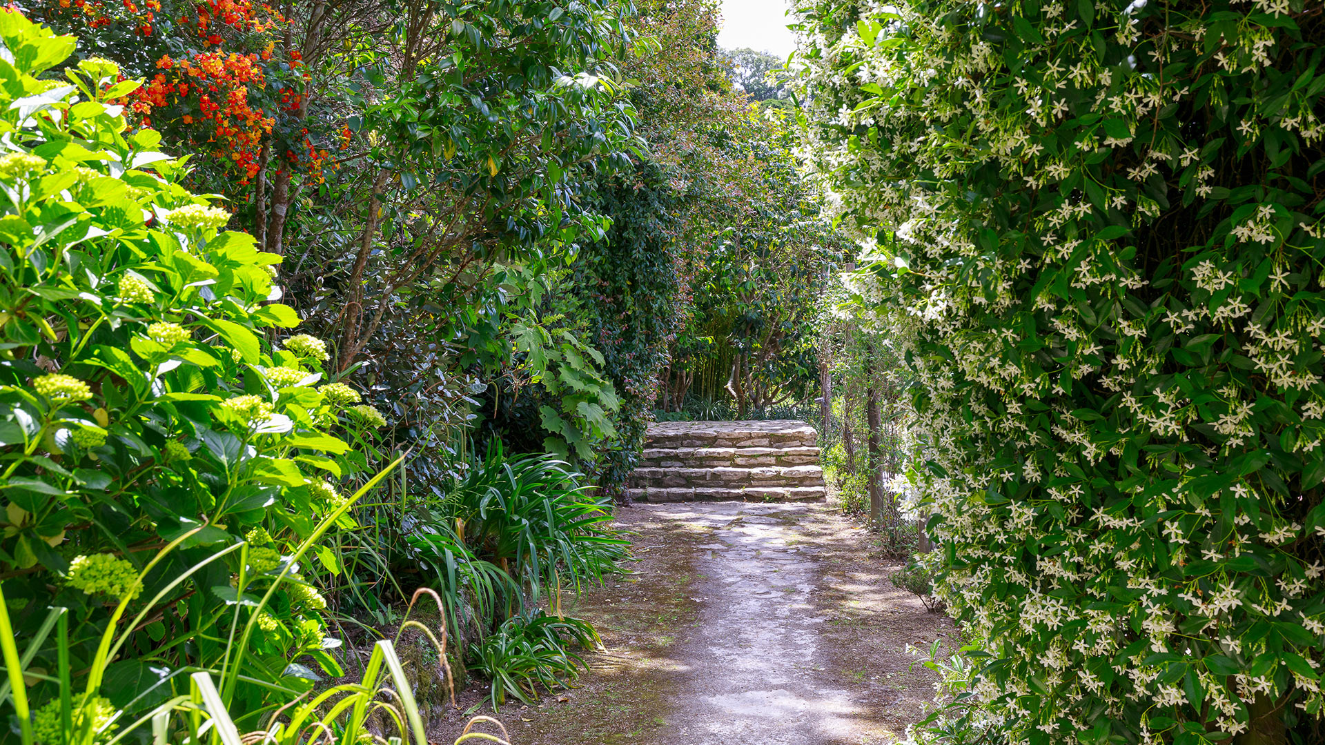 Quinta Madalena - Image 12