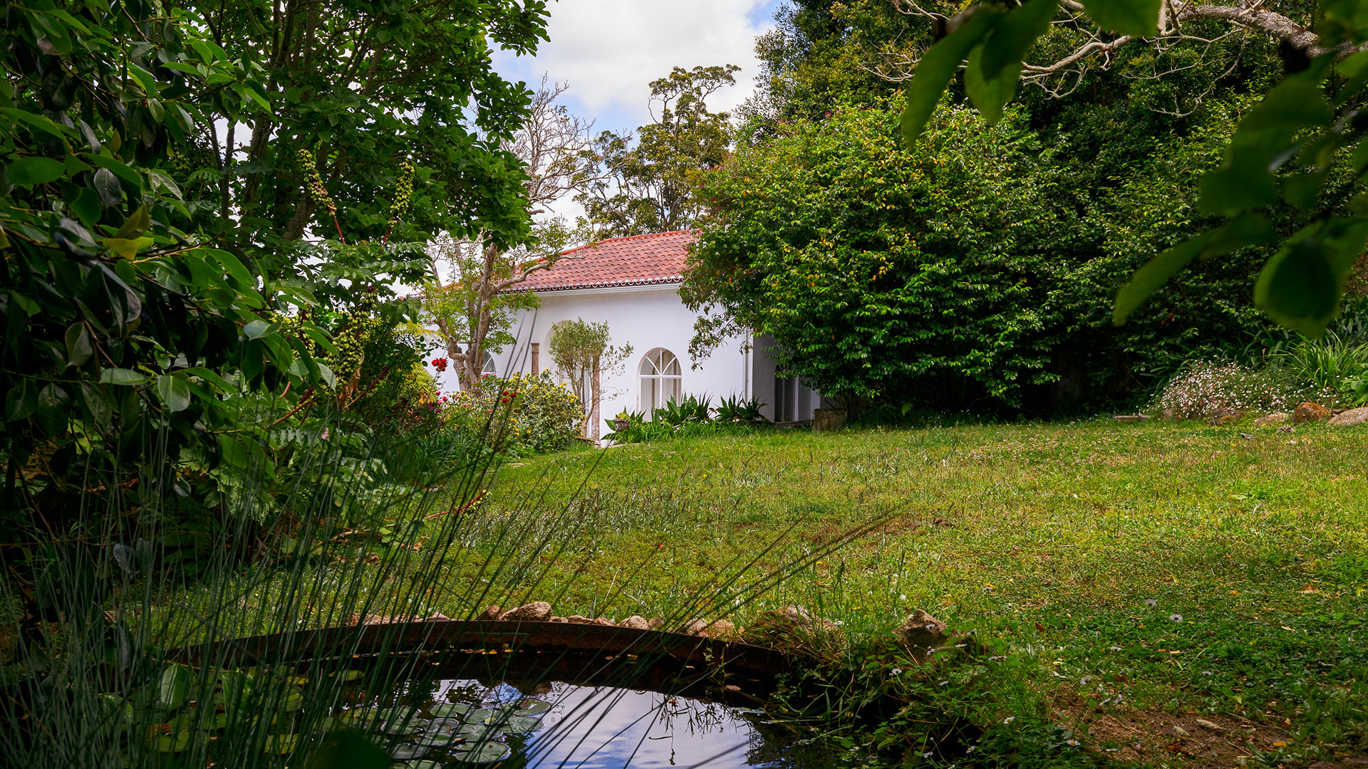 Quinta Madalena - Image 10