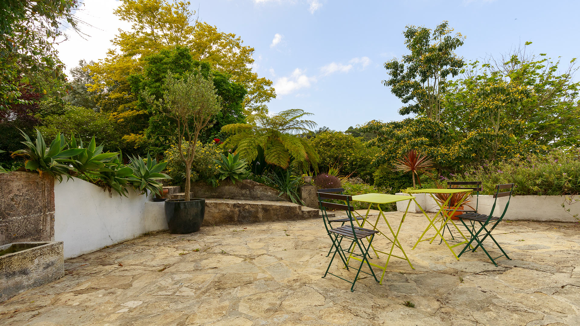 Quinta Madalena - Image 5