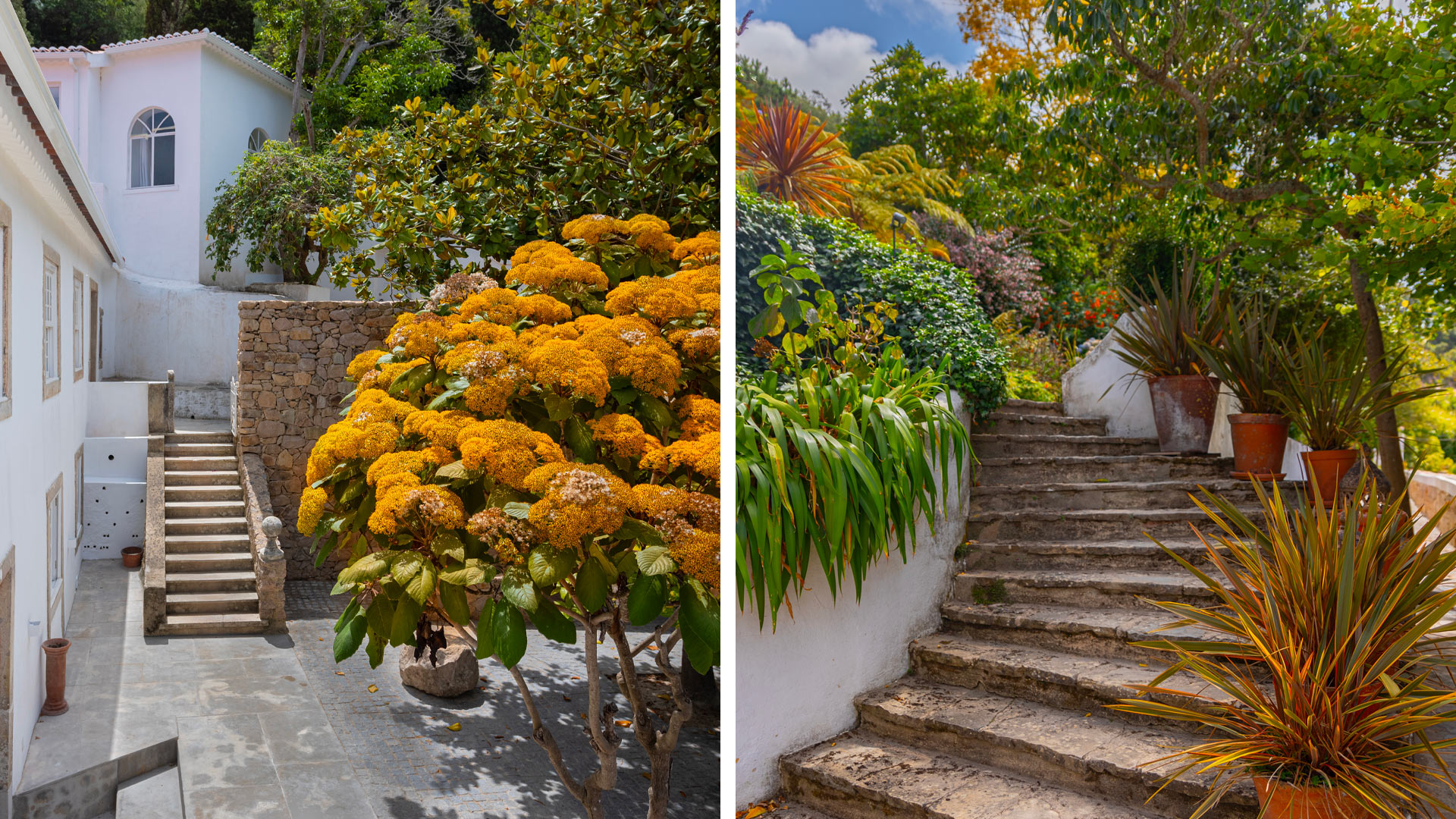 Quinta Madalena - Image 15