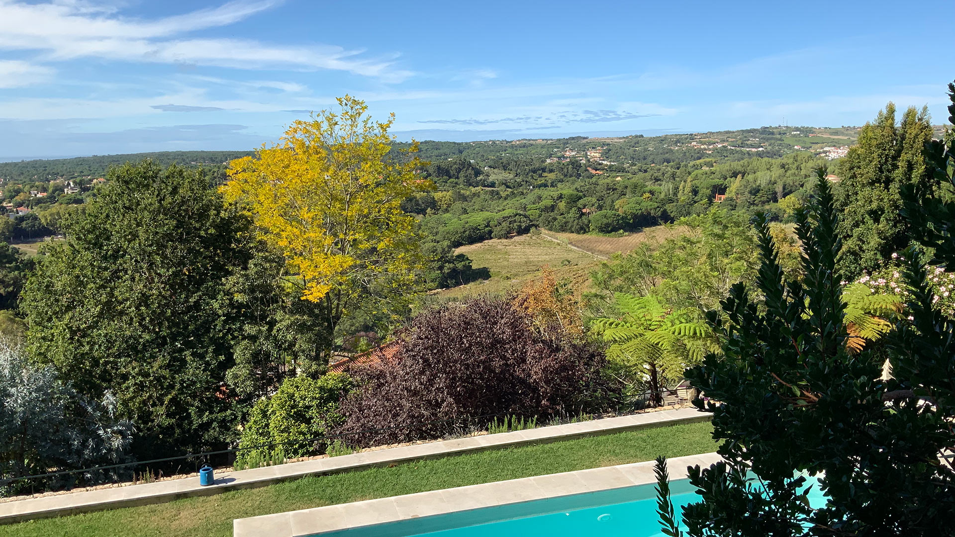 Quinta Madalena - Image 11