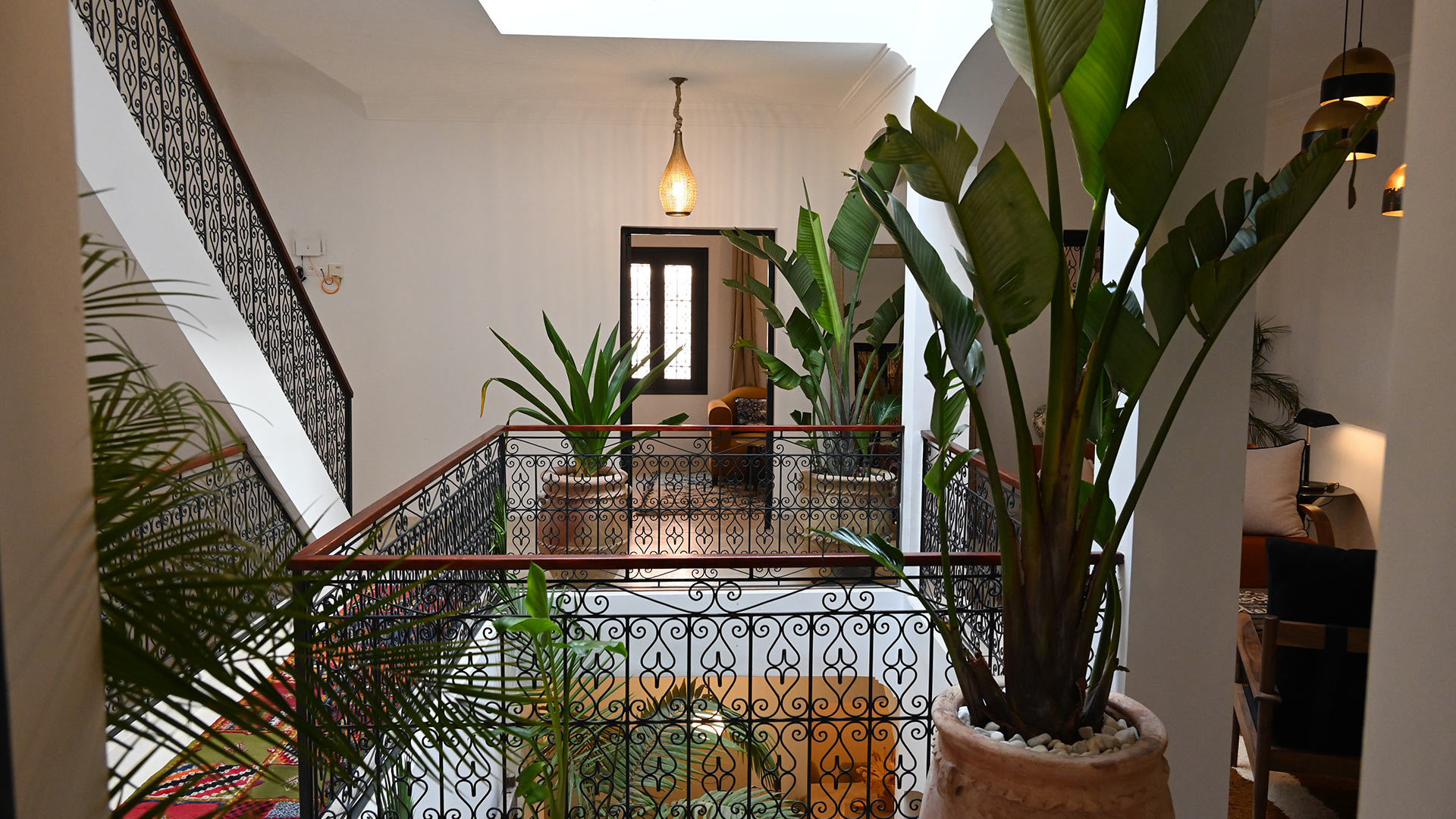 Riad Aniata - Image 22