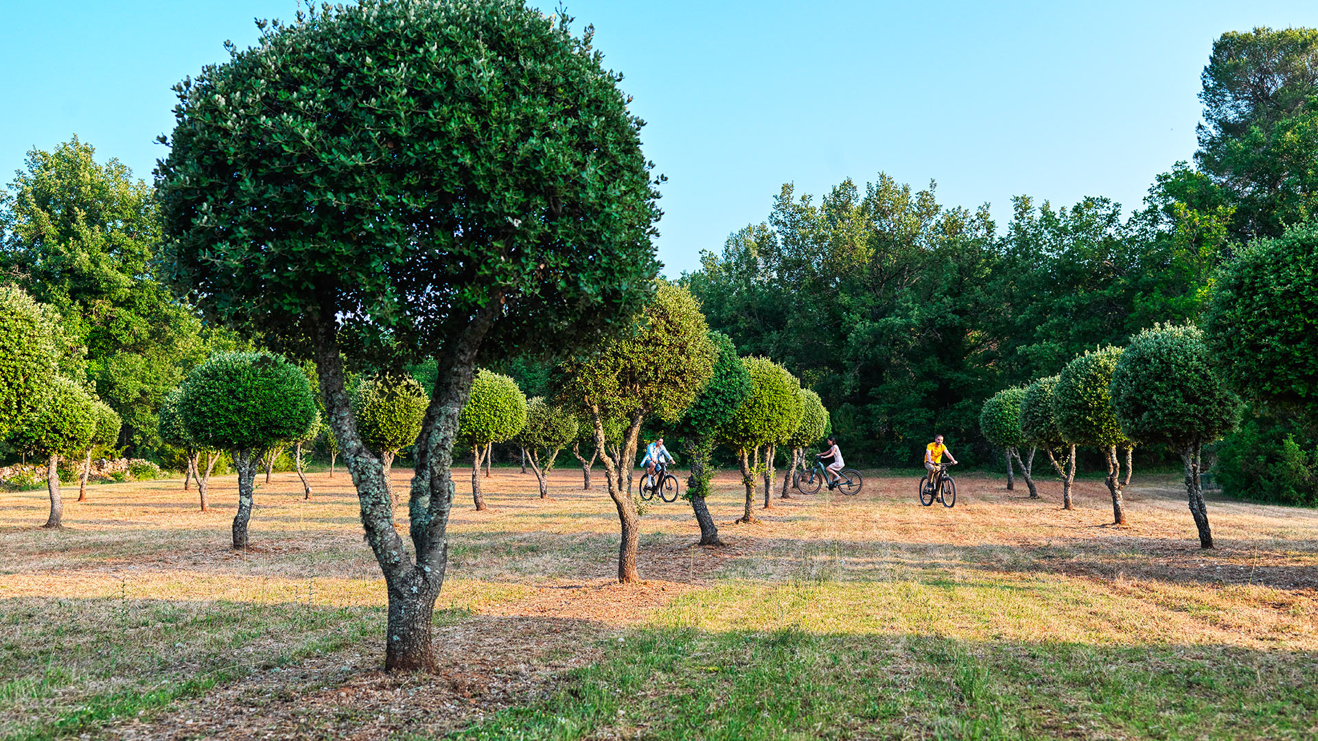 Villa Aramis - Image 34