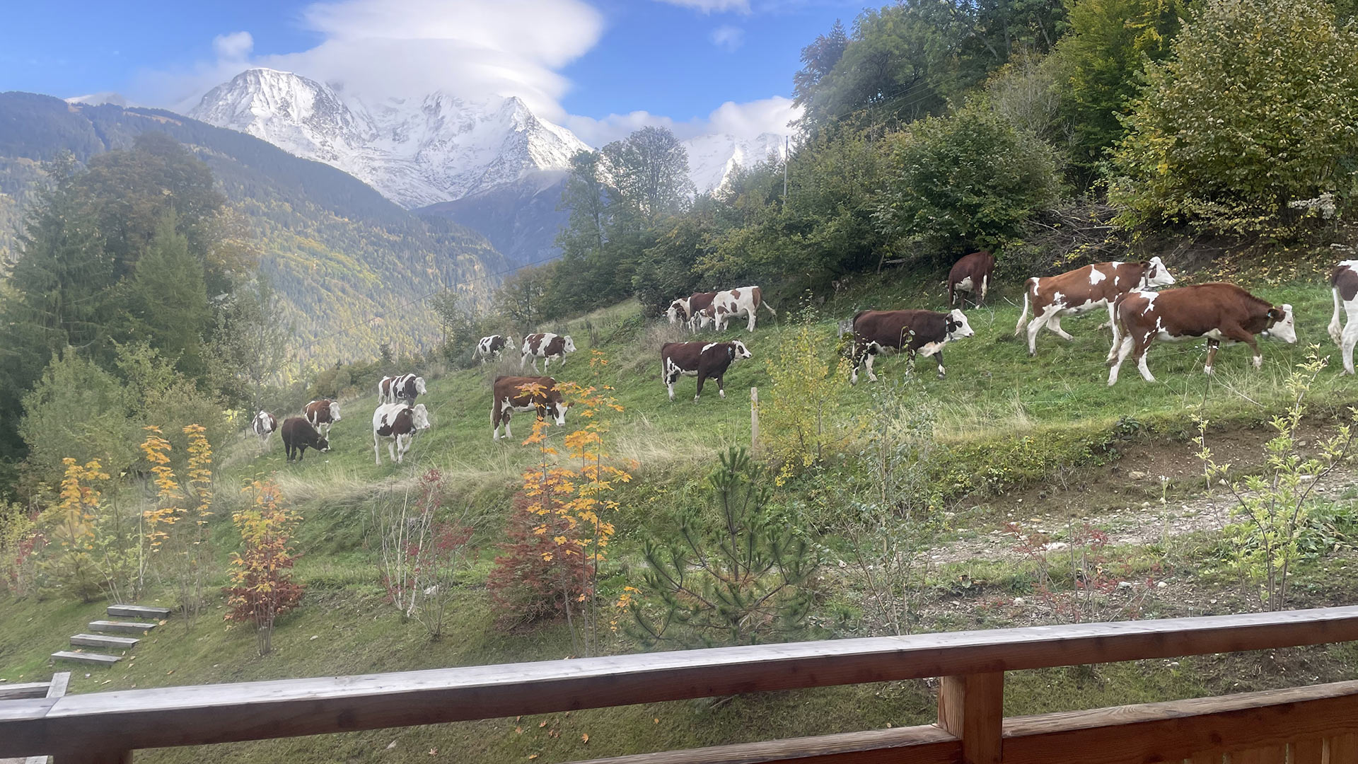Chalet Nouvelle Lune - Image 34
