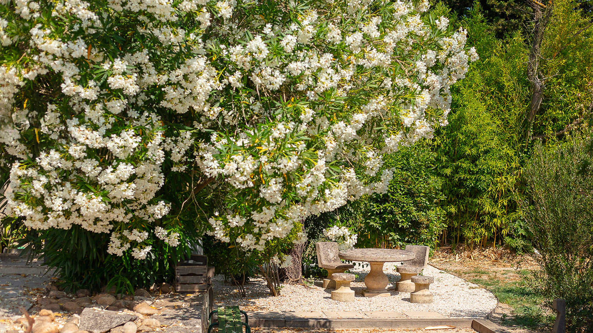 Mas Lumière des Alpilles - Image 26
