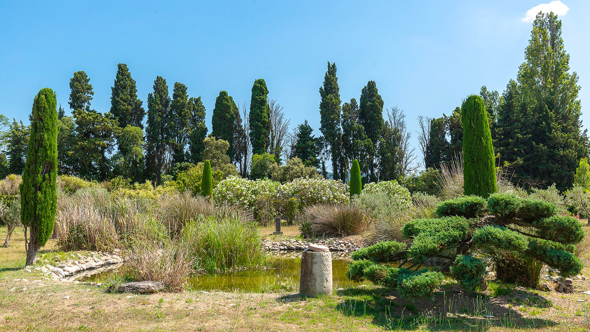 Mas Lumière des Alpilles - Image 28
